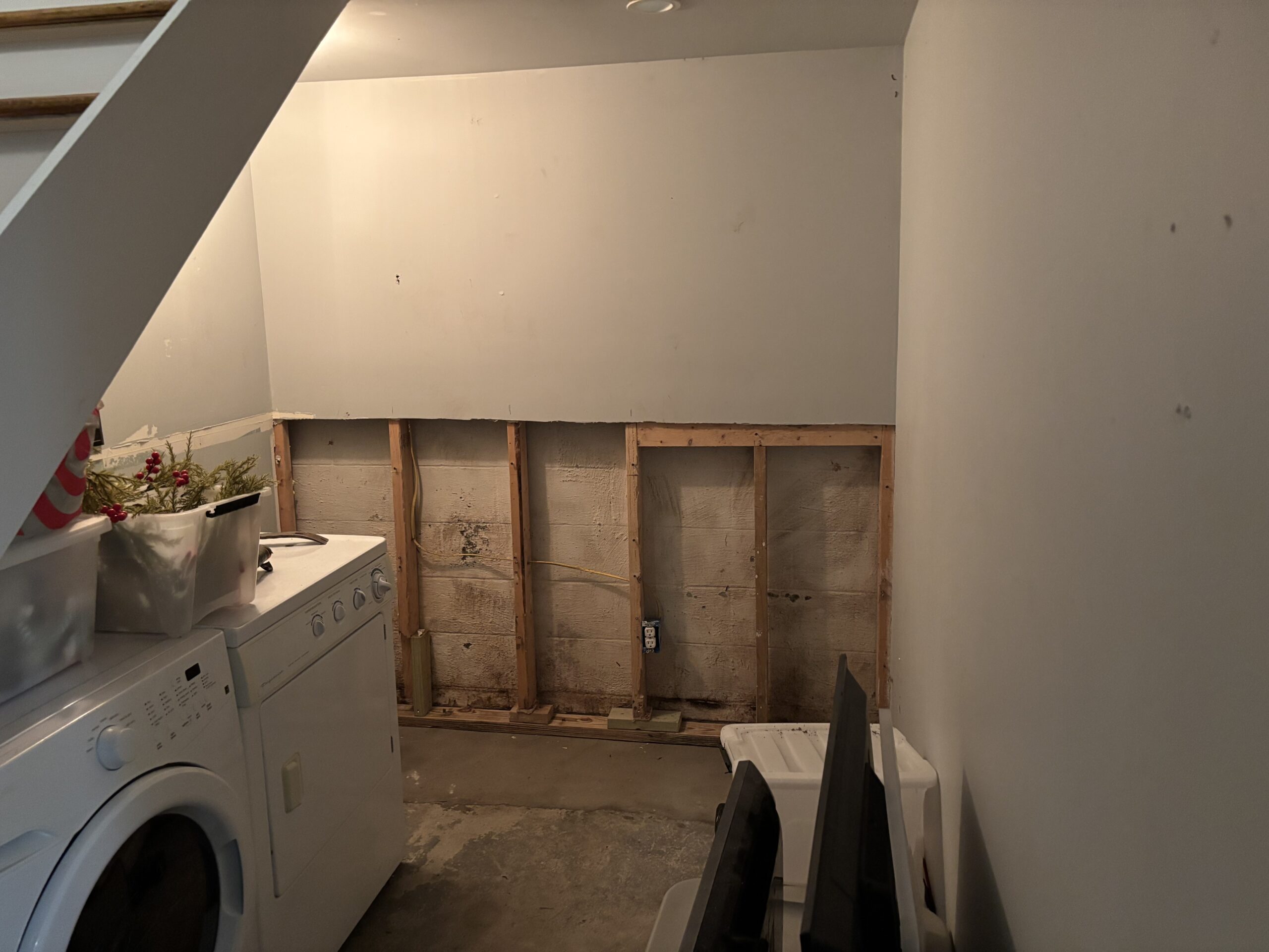 Before image